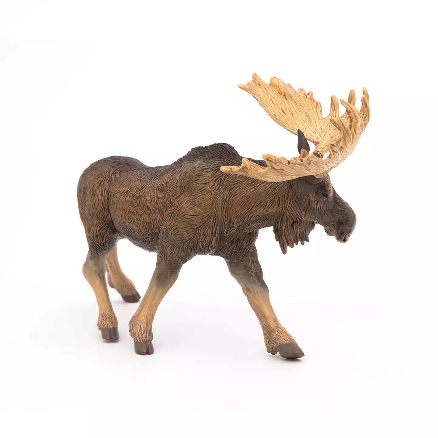 Moose
