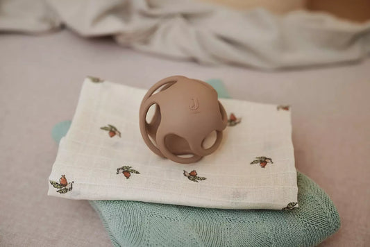 Bitleksak boll, biscuit