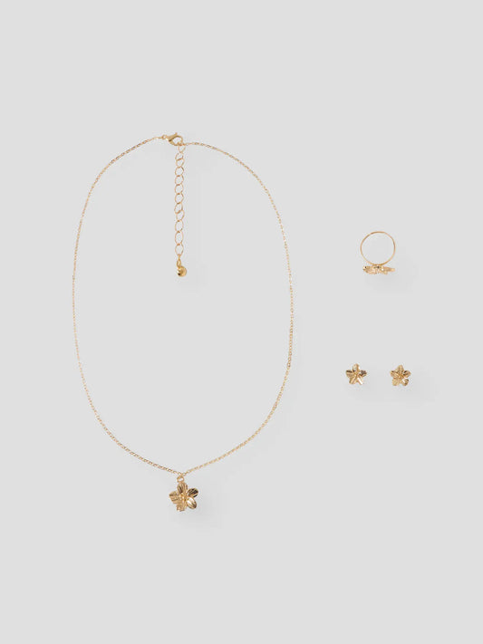Set halsband, örhängen och ring